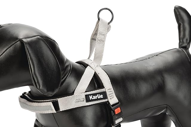 Foto 3 de 3 de KARLIE K Art SPORTIV Premium ARNÉS, 82-105 CM X 25/30 MM Gris