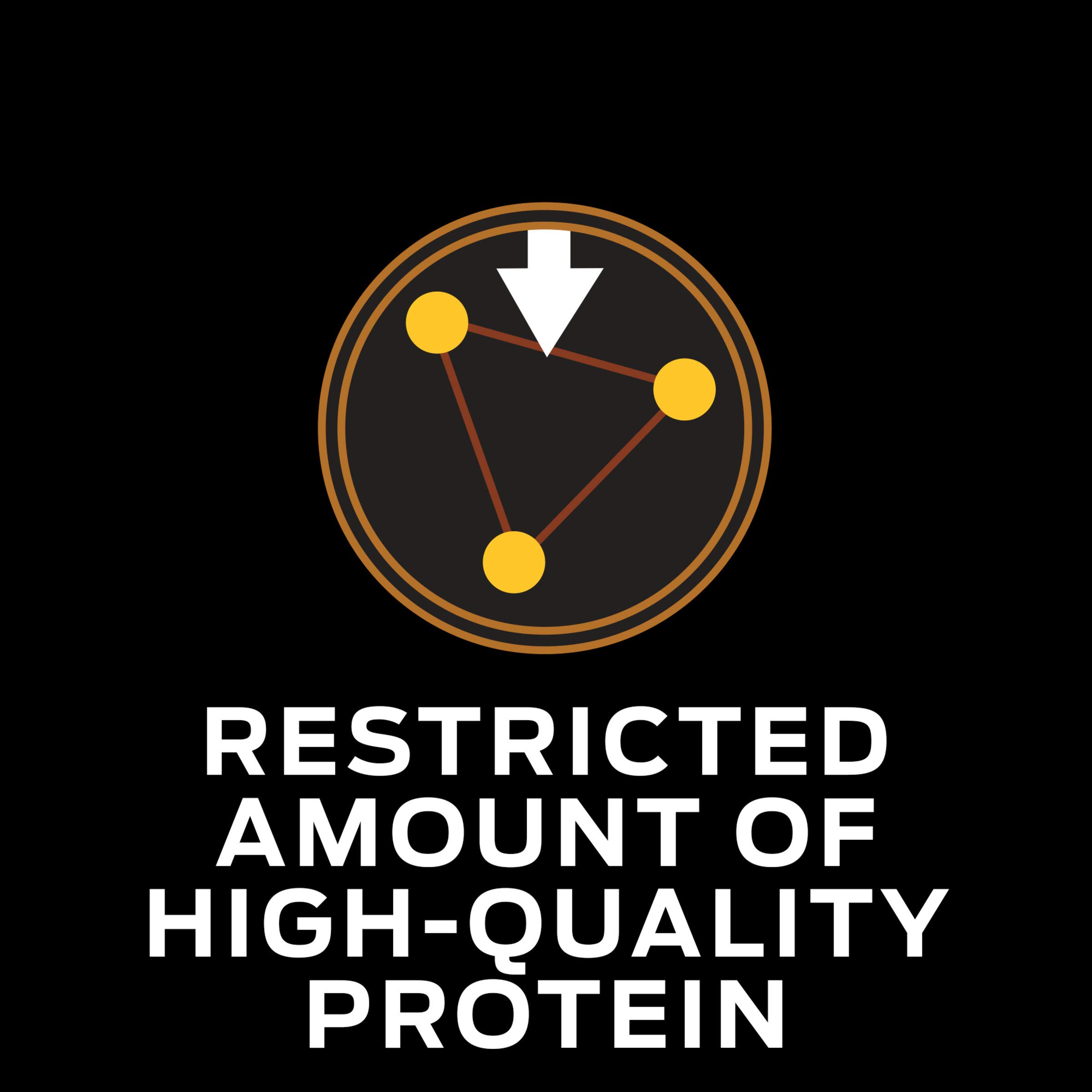 ppvd canine nf kidney function