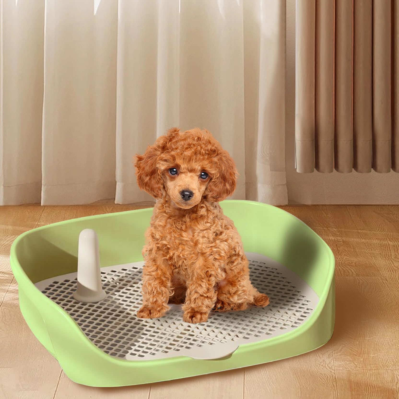 Bac de Toilettes pour Chiens 15.8x11.8x4.3 dans Un entraînement de Toilettes en Plastique sécurisé Amovible