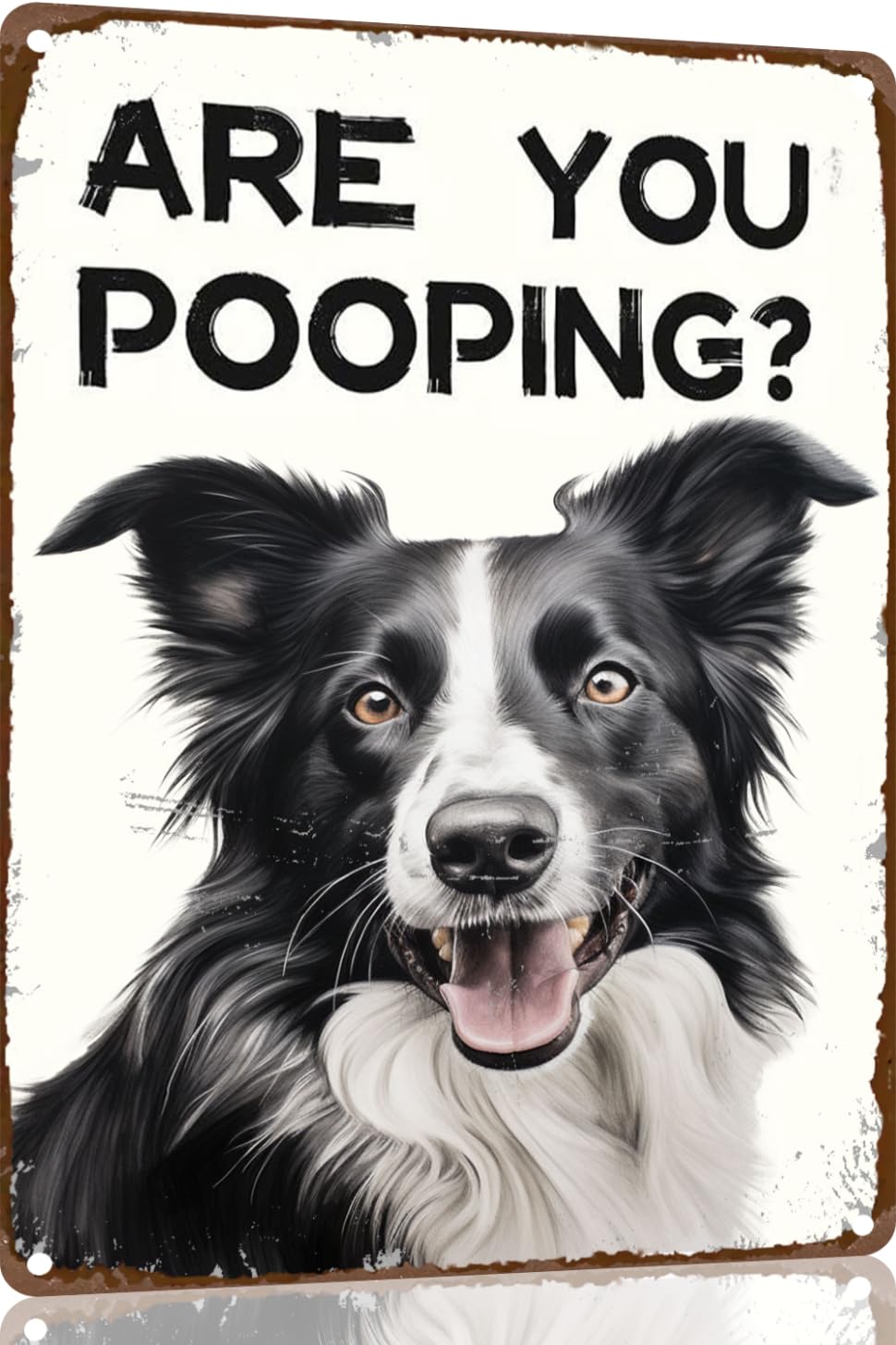 Preeklen Tin Sign 048 Funny Border Collie Are You Pooping Metal Signs Vintage Farmhouse Bathroom Wall Decor Border Collie Lovers Gift 8X12 Inch