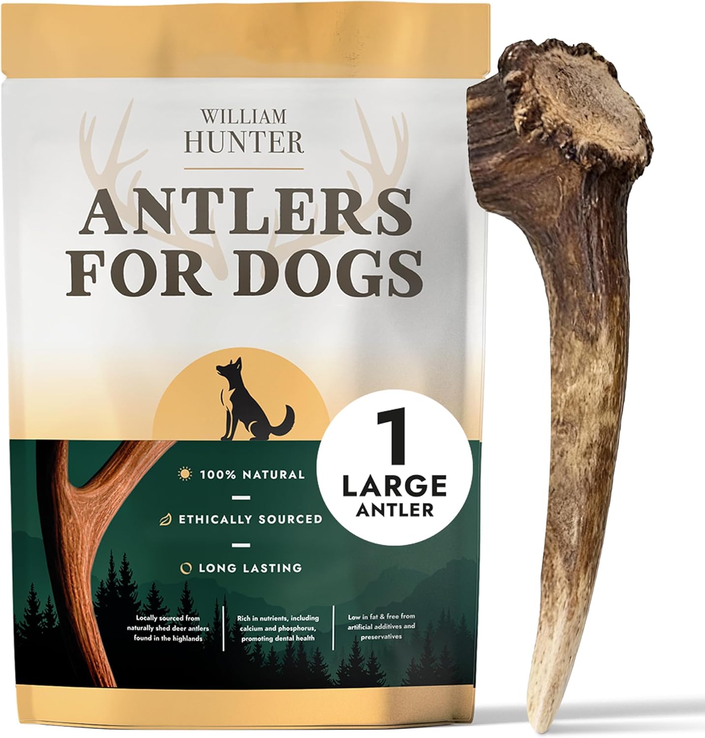 William Hunter Naturally Shed Deer Antler for Dogs - Long Lasting Dog Antler Chews for Aggressive Chewers, Ethically Sourced from Scottish Highlands with No Foul Smell (1 Large)
