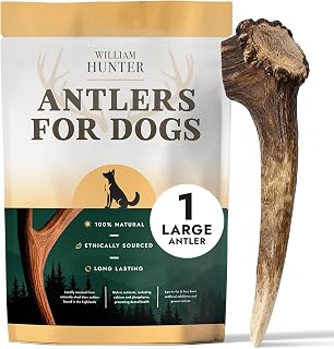 William Hunter Naturally Shed Deer Antler for Dogs - Long Lasting Dog Antler Chews for Aggressive Chewers, Ethically Sourced from Scottish Highlands with No Foul Smell (1 Large)