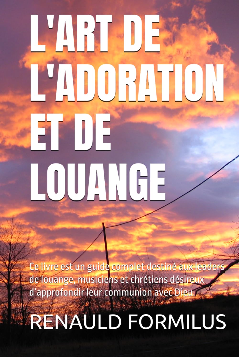 L'ART DE L'ADORATION ET DE LOUANGE: Ce livre est un guide complet destiné aux leaders de louange, musiciens et chrétiens désireux d’approfondir leur communion avec Dieu.