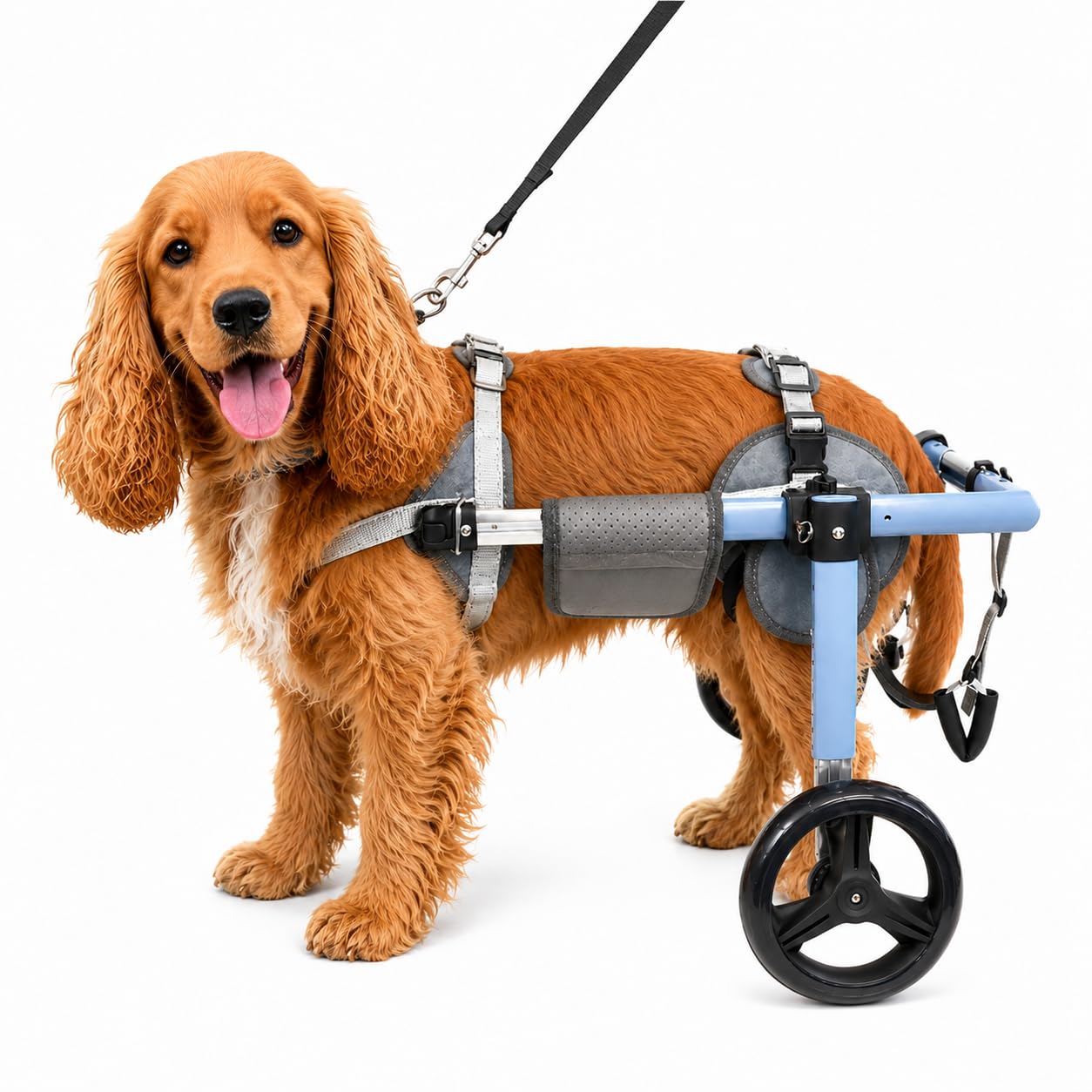 JoyKeeper Dog Wheelchair for Back Legs, Adjustable Rear Support, XS-XXL，XXL