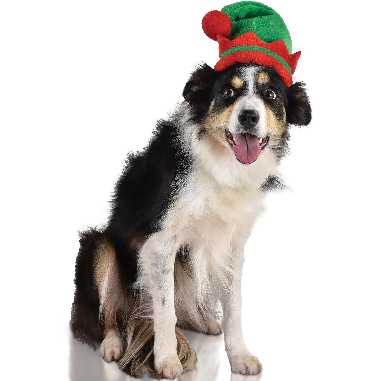 Chapeau elfe pour animal domestique confortable qui tient en place