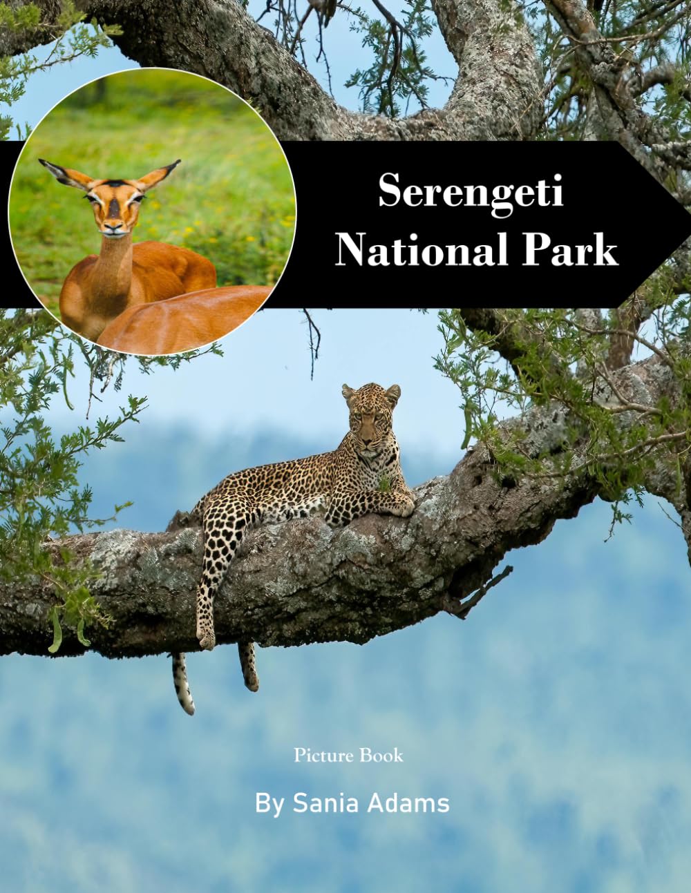 Serengeti National Park: A Perfect Coffee Table Picture Book – Travel and Tourism Lovers