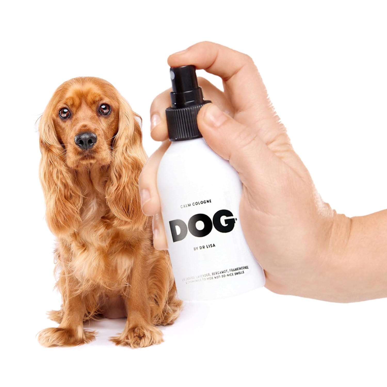 Calm Cologne - With Lavender, Bergamot, Frankincense & Chamomile - Natural Dog Perfume - Pet Deodorant Spray - Plant-Based Essential Oils - Vegan - 4.2oz