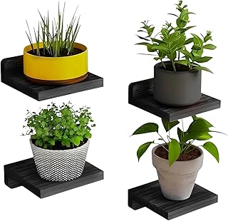 Apna Decor Solid Wood Floating Wall Shelves – Set of 4 | Wooden Wall Display Racks for Living Room, Bedroom, Kitchen &amp; Bat...