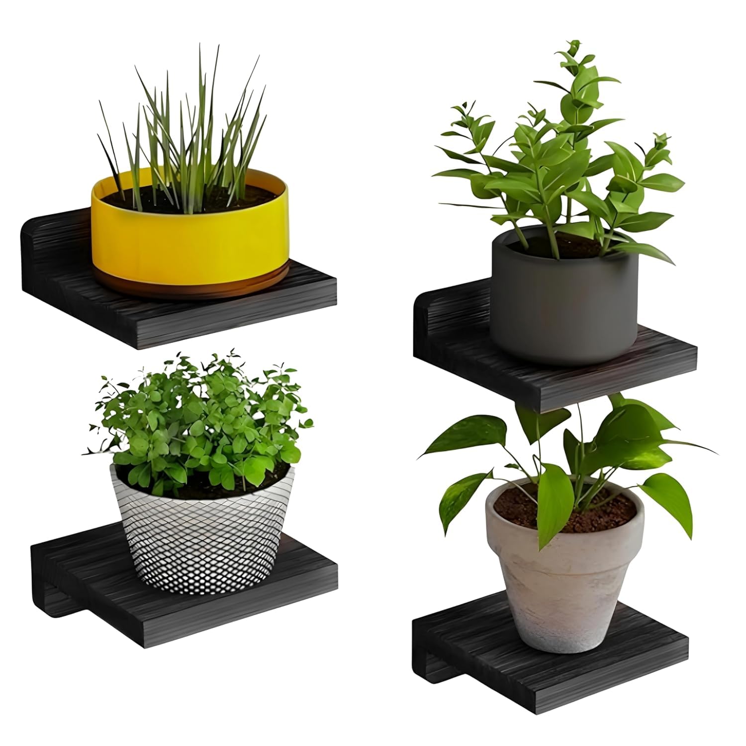 Apna Decor Solid Wood Floating Wall Shelves – Set of 4 | Wooden Wall Display Racks for Living Room, Bedroom, Kitchen & Bat... - Review, Price and Buying Guide