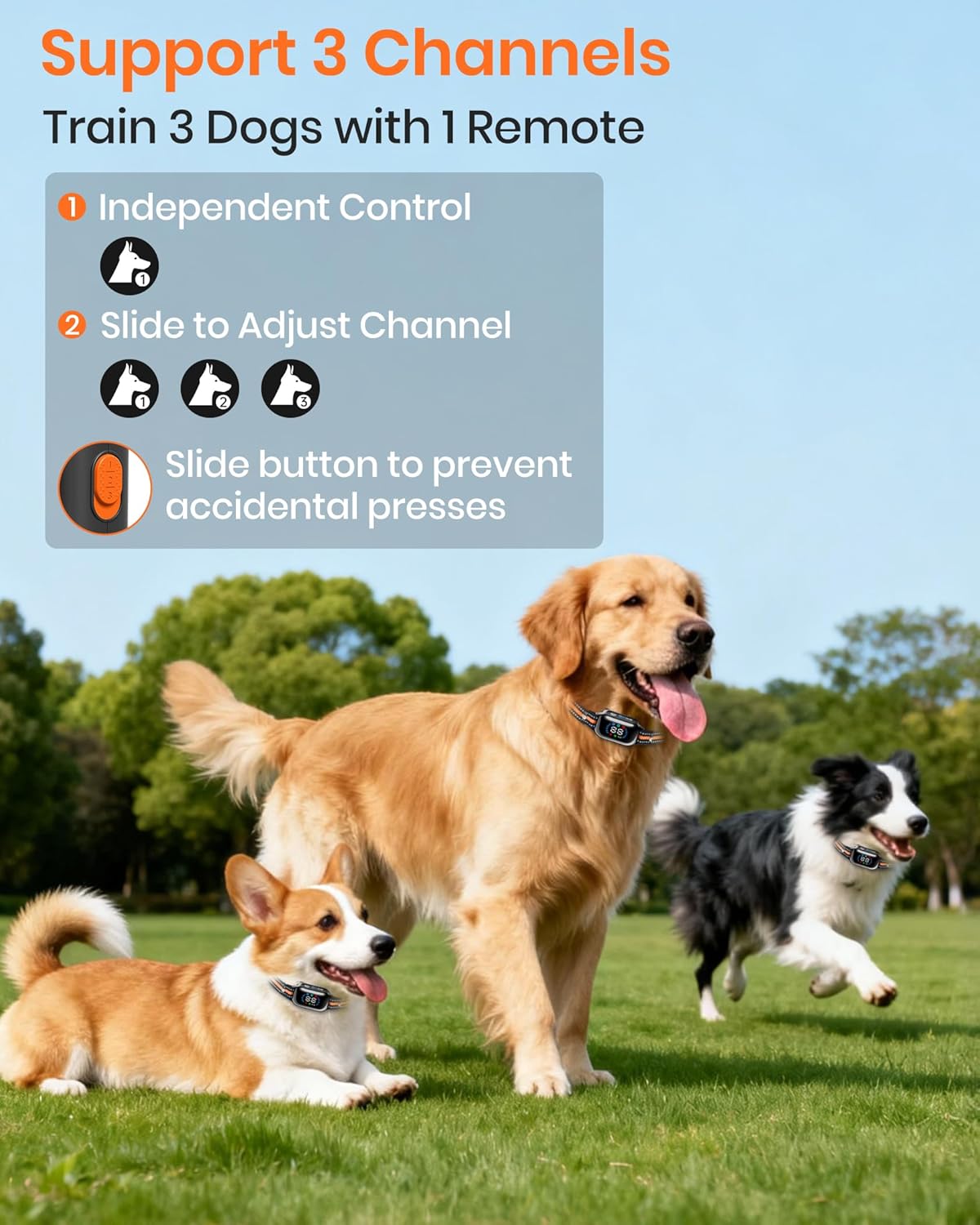 2-in-1 Bark Shock Collar 2 Pack - Color Screen Dog Training Collar with Beep/Vibration/Shock/Anti Bark 4 Modes for 2 Dogs, 3300FT Waterproof E Collar with Remote for Small Medium Large Dogs(8-120lbs)