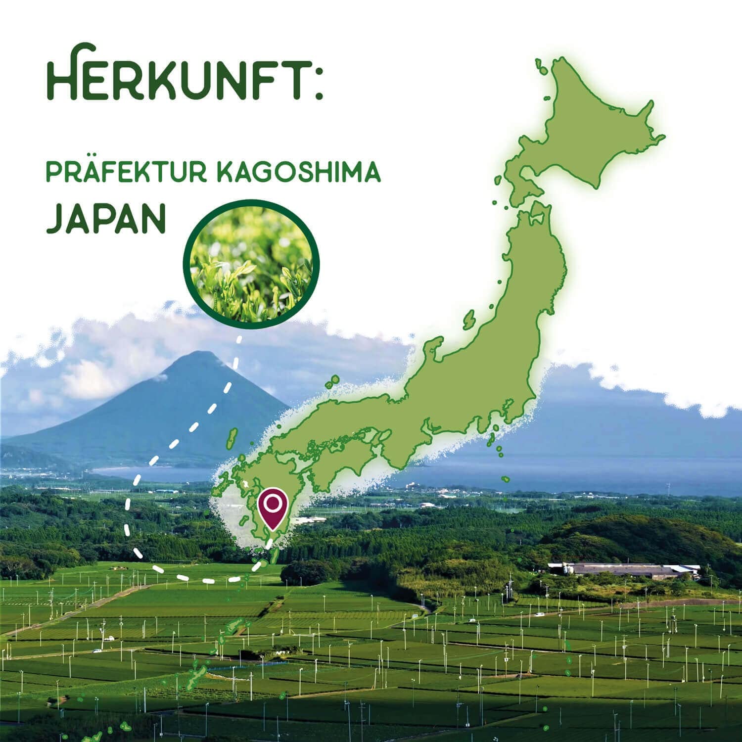 MATCHA PASSION Bio Matcha Premium 30g Pulver mit Bambusbesen & Bambuslöffel - Zeremonie Qualität Kagoshima Japan - purer Genuß für Tee-Zeremonie Vegan Superfood