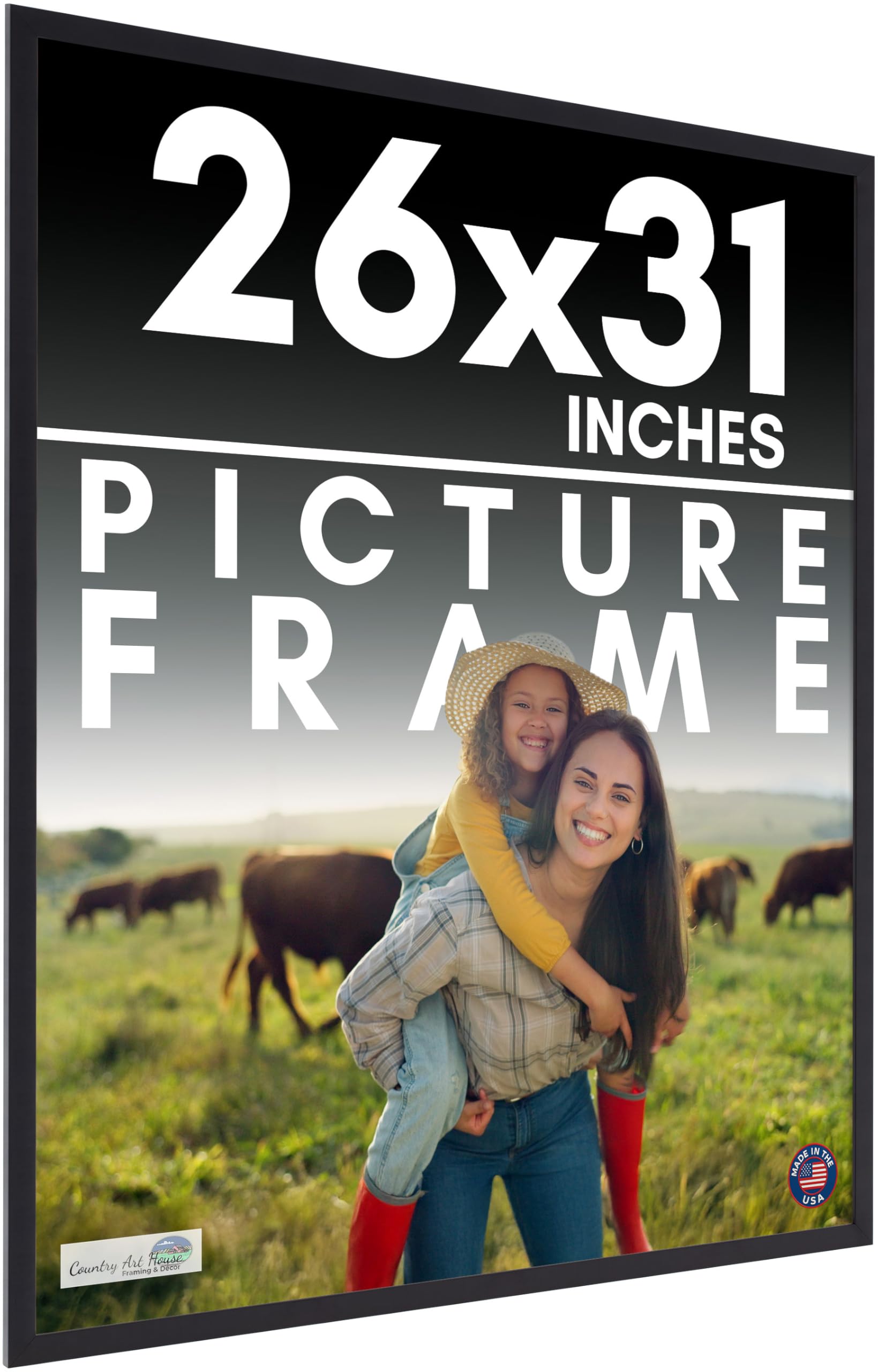 Amazon.com - 26x31 Frame Black Picture Frame - Complete Modern