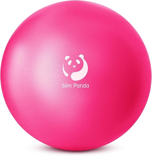 Miniatura 22 de Slim Panda Pelota de Pilates, Pelota de Ejercicio Pequeña de 9 Pulgadas, Mini Pelota de Yoga Antiestallido para Estabilidad, Entrenamiento, Barre, 1