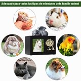 Ver la foto 5