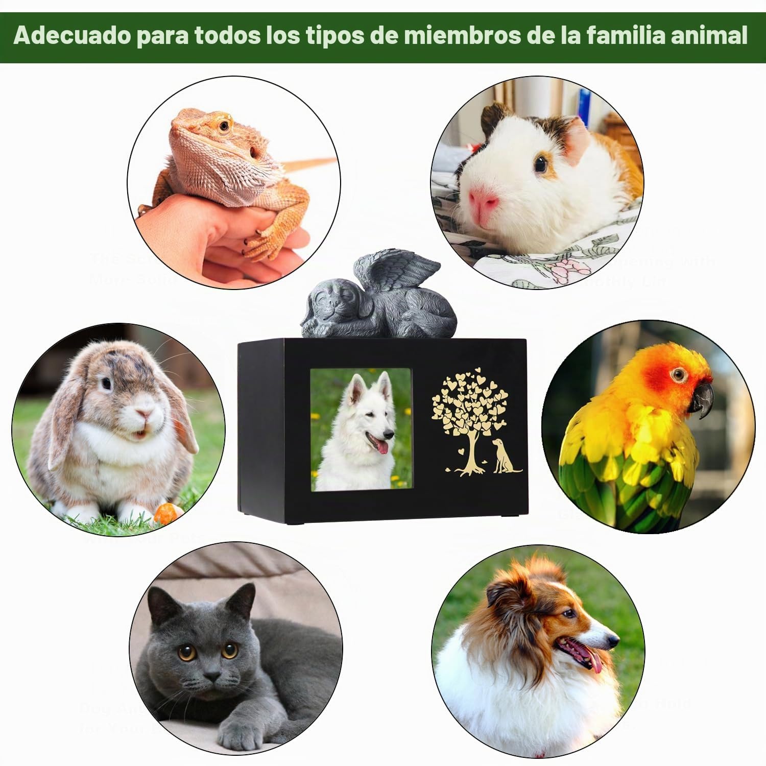 Urnas de cenizas para mascotas para memorial de perros, Urnas de cremación funerarias grandes de madera con marco para fotos, caja conmemorativa de recuerdo con forro de franela negra, regalo