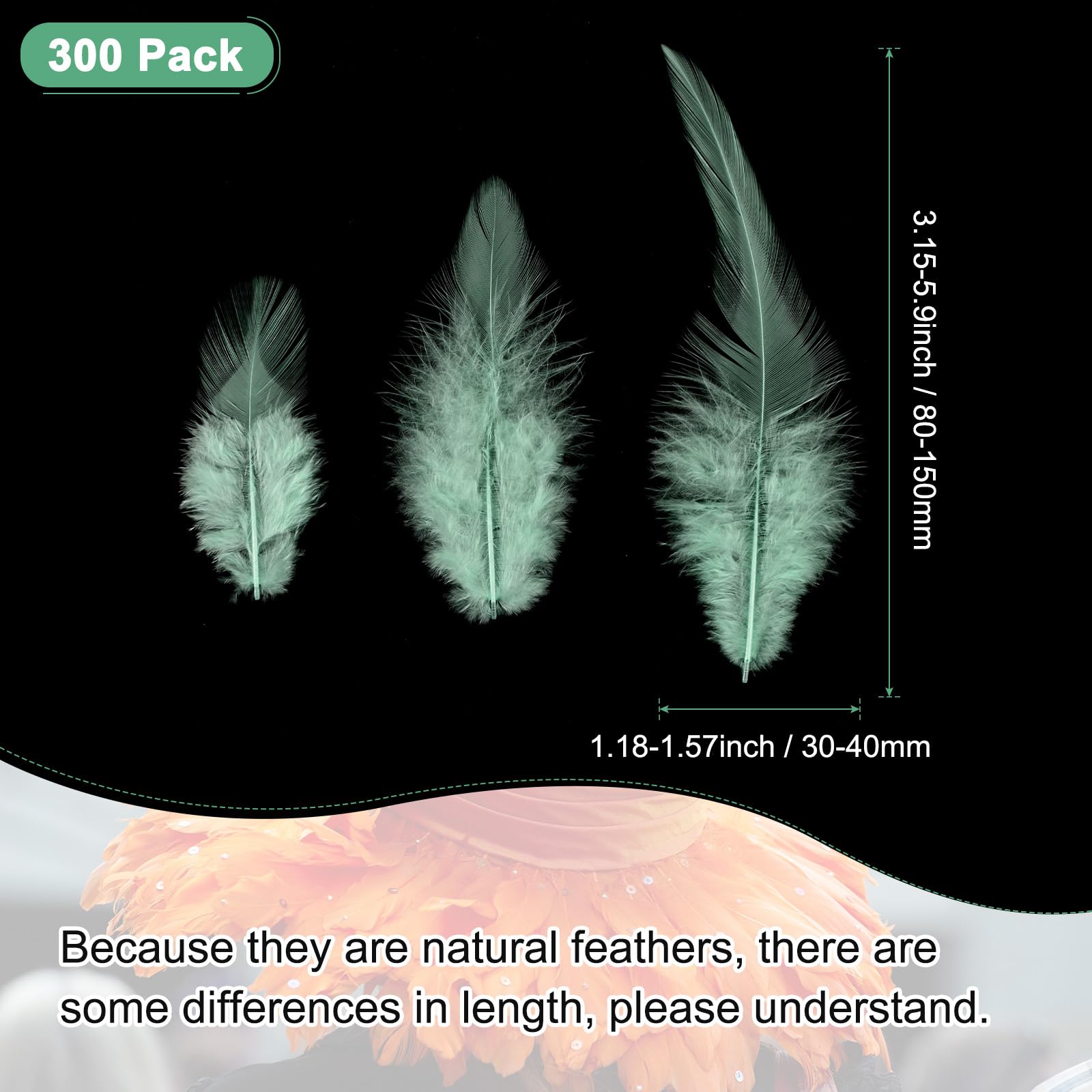 M METERXITY 300-Pack Saddle Hackle Rooster Feather - Image 3