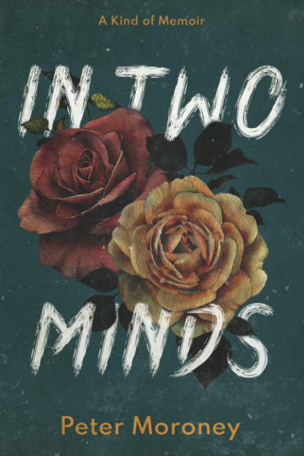 In Two Minds: A kind of memoir