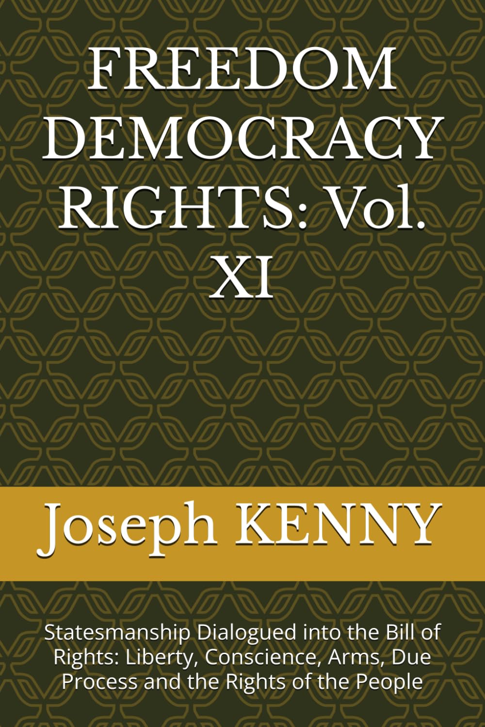 FREEDOM DEMOCRACY RIGHTS: Vol. XI: Statesmanship Dialogued into the Bill of Rights: Liberty, Conscience, Arms, Due Process and the Rights of the People