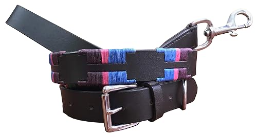 Carlos Diaz Collar de Perro Premium Bordado y Encerado Estilo Polo de Cuero Genuino + Correa Que Combina L
