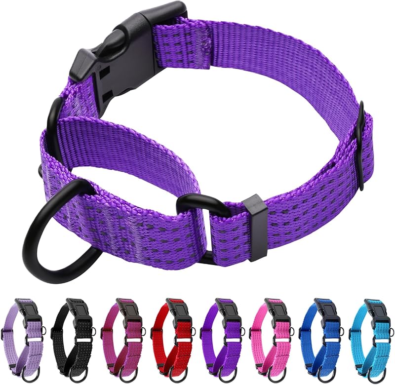Coleira Martingale para Cães JOOCPUP com Fivela, Nylon e Faixas Refletivas Roxa XS
