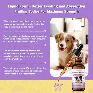 Dog Cancer Supplements - Pet Critical Guard - Defense Immune Support, Cellular Health, Antioxidants with Turkey Tail Mushroom - Natural Herbal Supplement for Well-Being Protection 2 oz (59 ml)