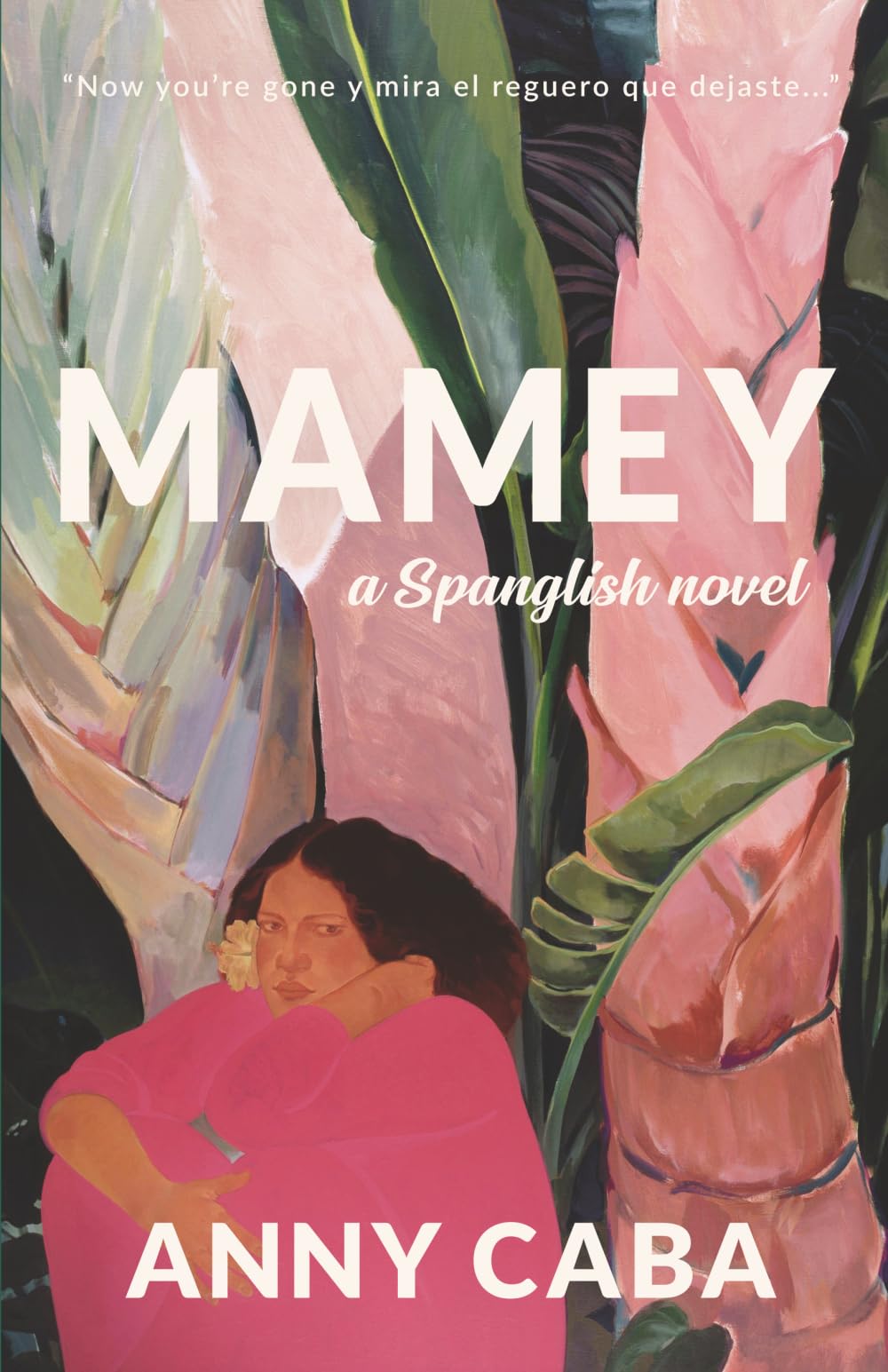 Mamey: a Spanglish novel