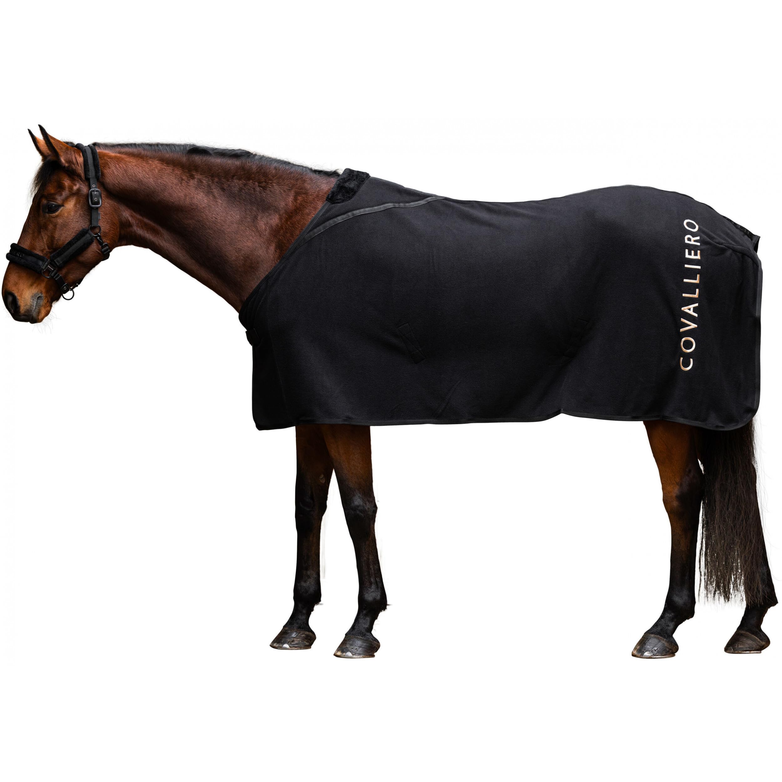 Covalliero Transport- und Abschwitzdecke Fleece Black HW 2025 (XXL (165 cm))