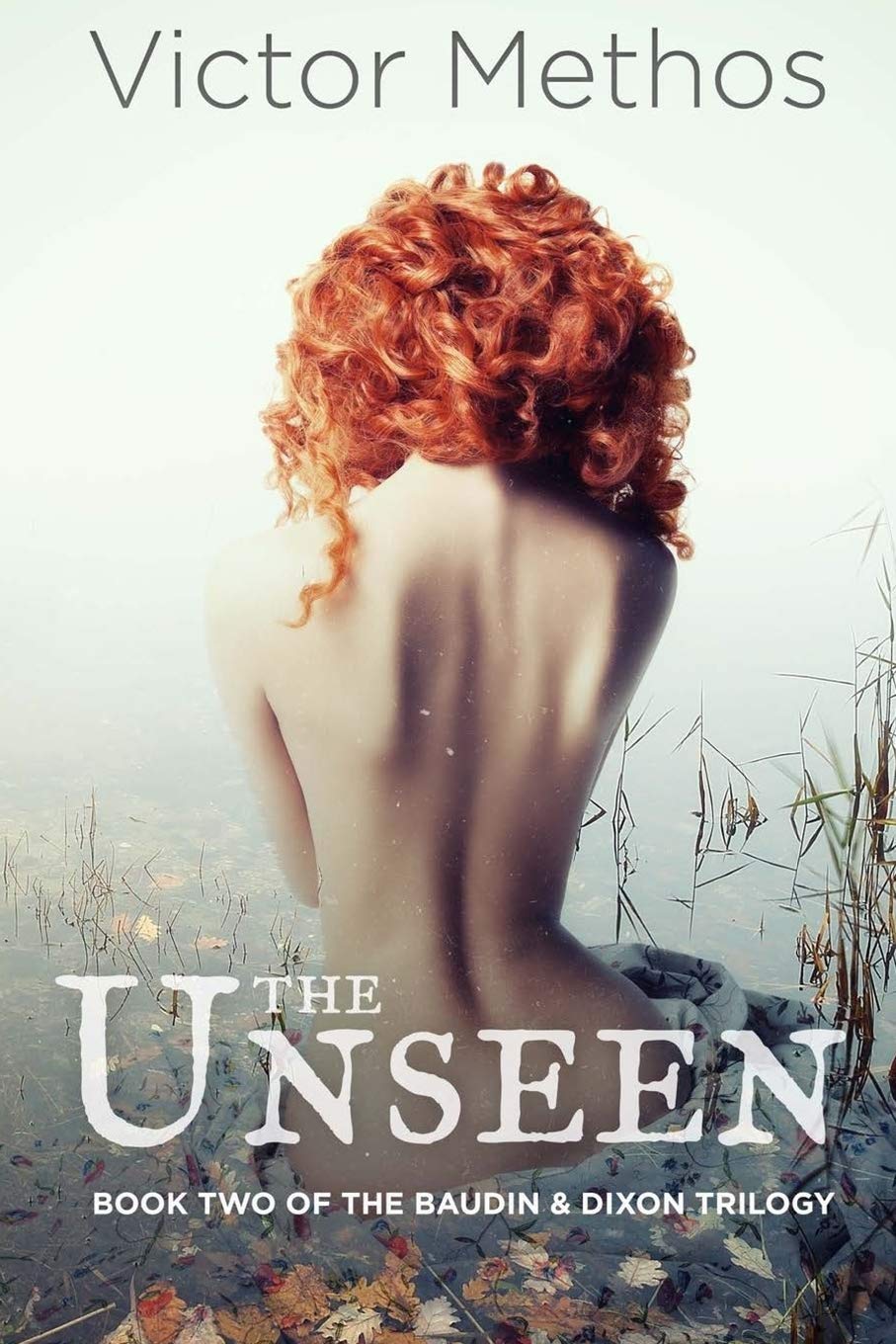 The Unseen: Volume 2 (The Baudin & Dixon Trilogy)