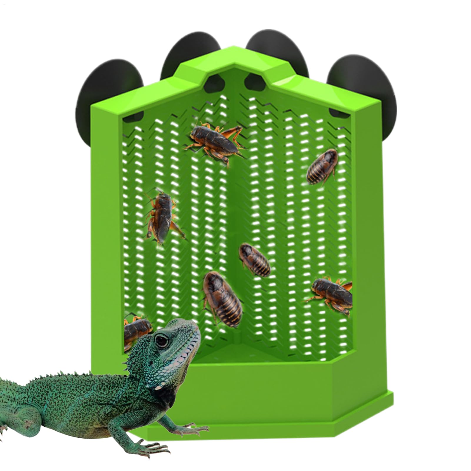 cibo per drago barbuto Mangiatoia angolare arrampicata | Alimentatrice con per Lucertole e Tartarughe Per lucertola arrampicatrice camaleonte tartaruga rana terrario custode