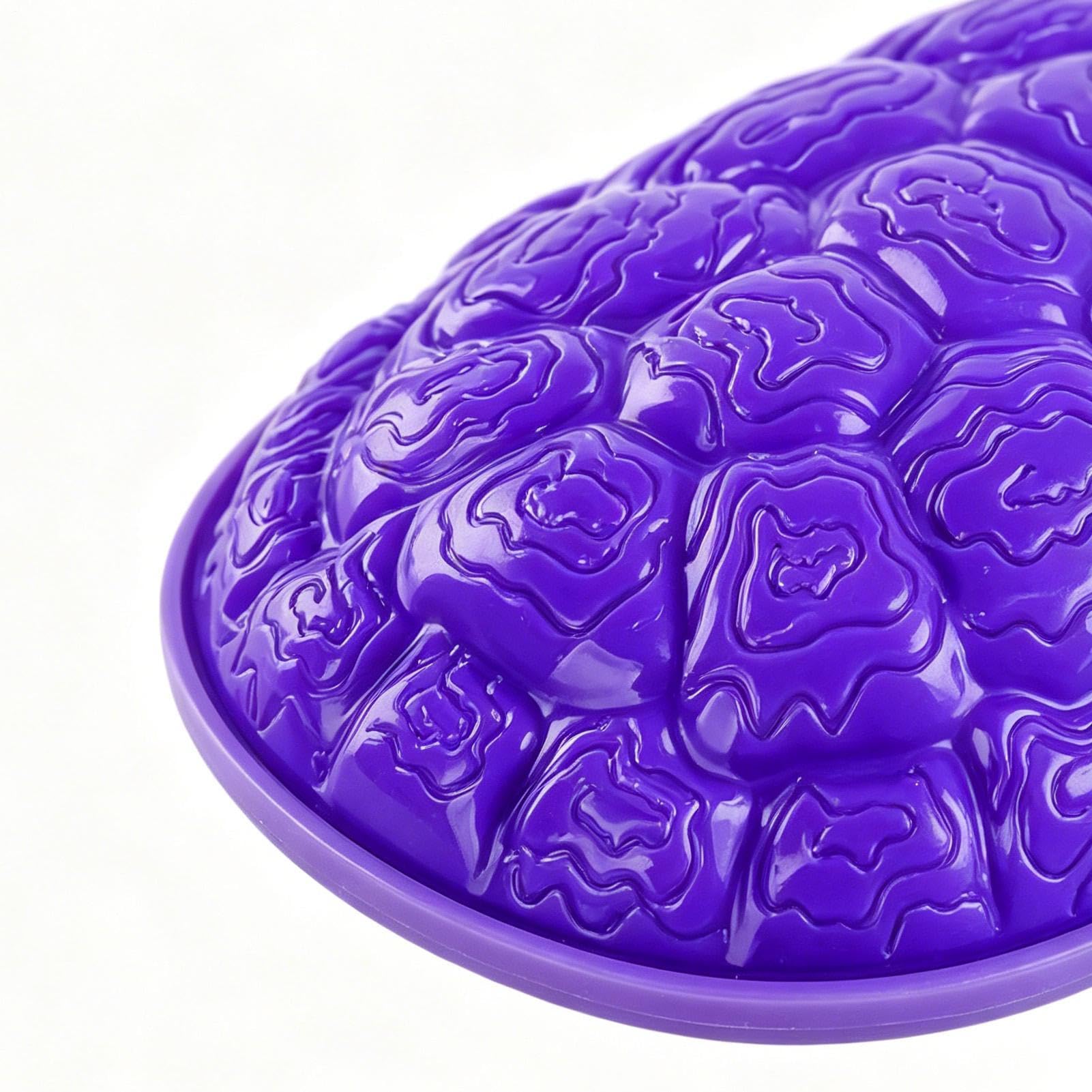 Pietre da saltare per bambini piccoli a forma di guscio di tartaruga | Stepping Stones Tattili bambini piccoli da 3 a 8 anni, esercizio fisico e concentrazione