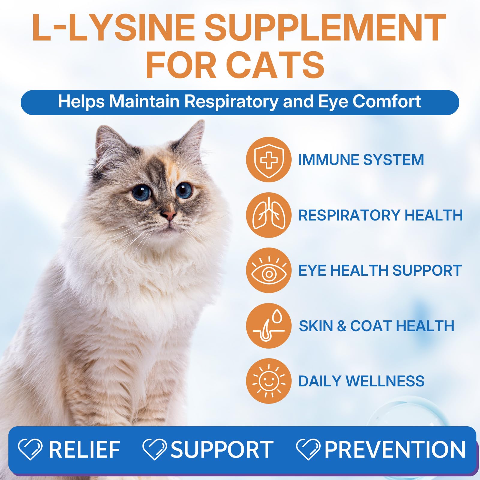 L-lysine Supplement for Cats, Immune Support for Cats, Chicken Flavor 60ml — Amazon image 2
