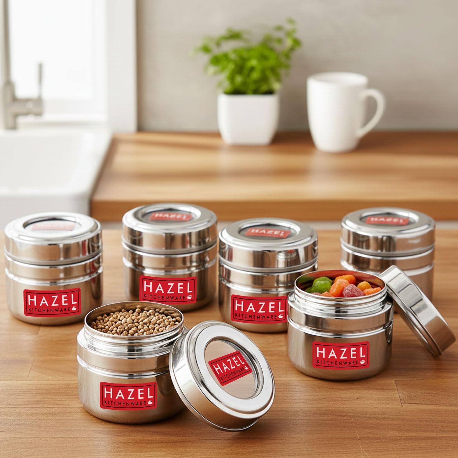 Amazon.com: HAZEL Stainless Steel Airtight Food Storage Containers