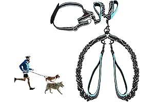 Hands-Free Double Dog Leash for Unparalleled Strolling with Your Canine Companions