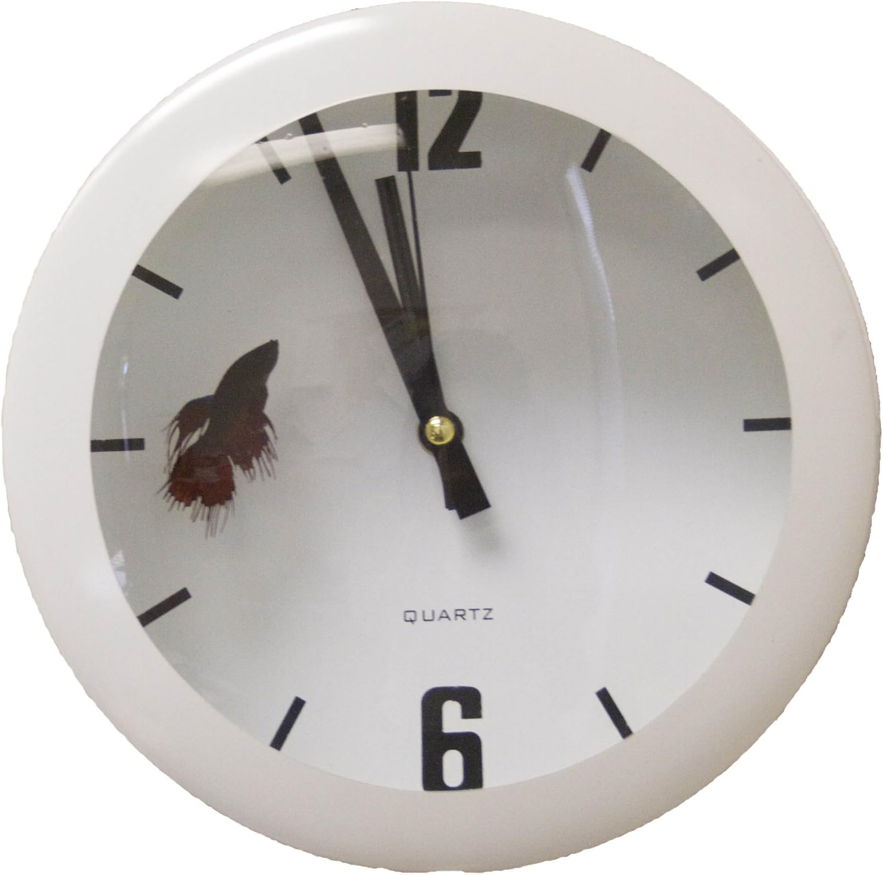 AquaClock Wall Aquarium, White