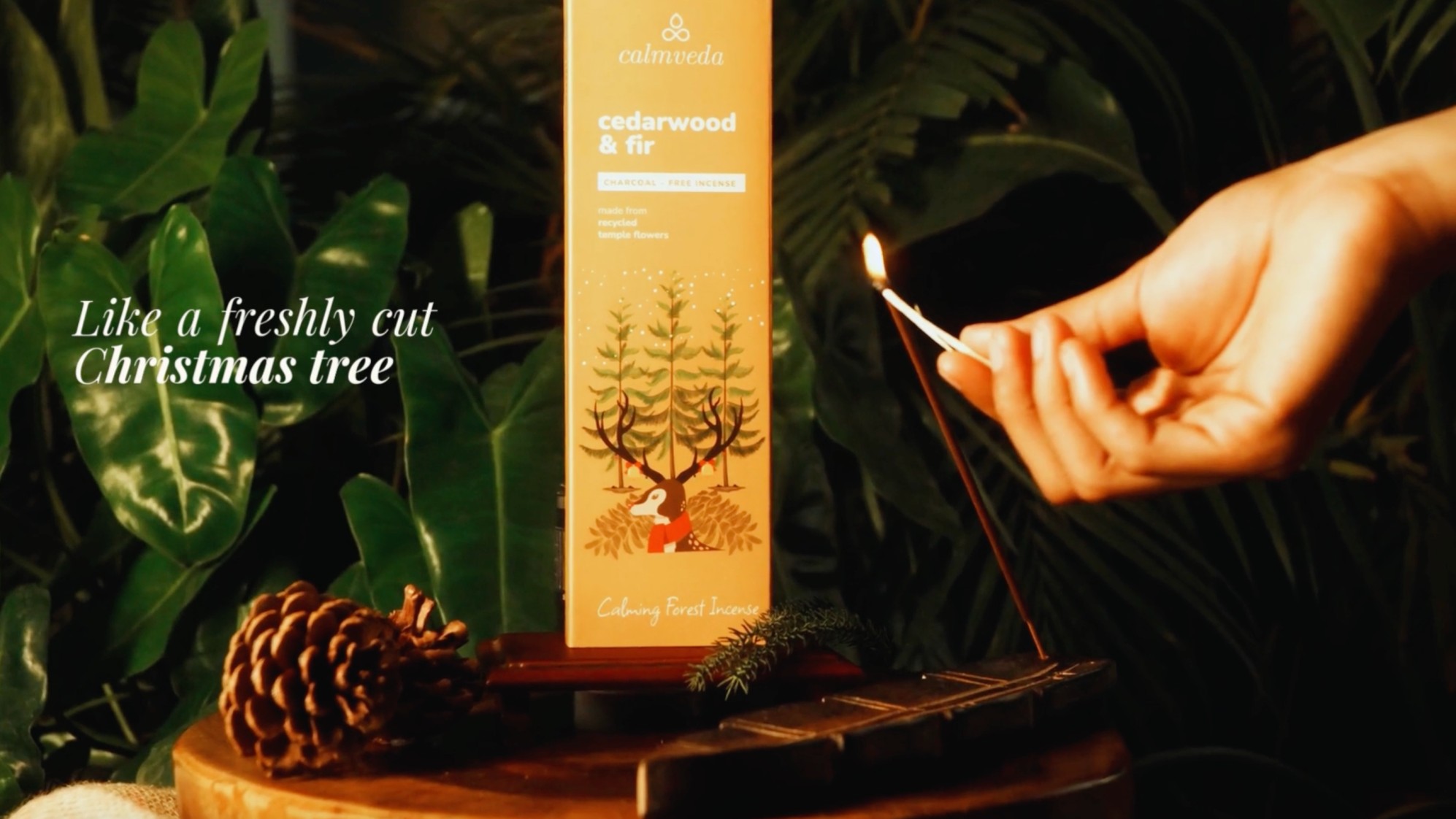 Amazon.com: Holiday Balsam Cedar Incense Sticks- Like Freshly Cut
