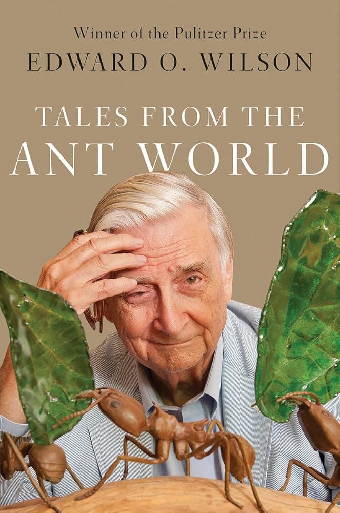 Ants