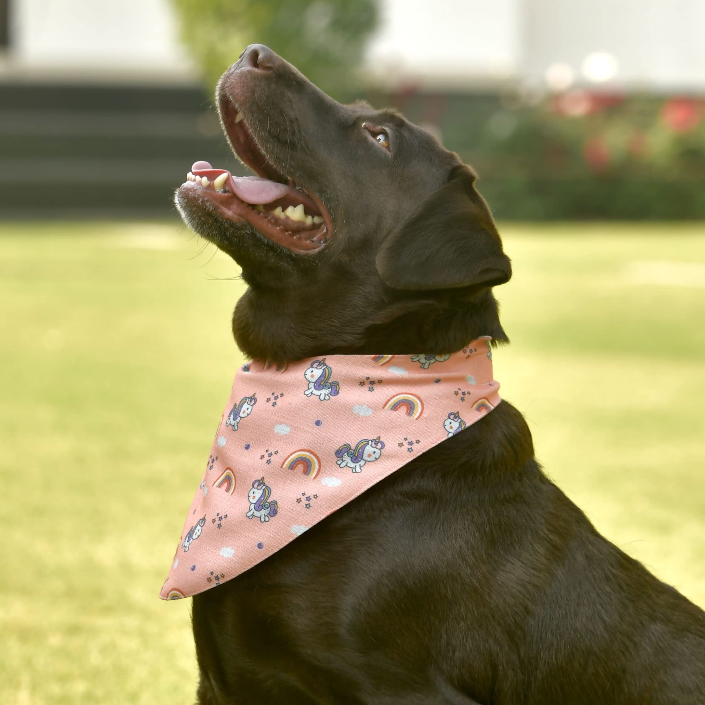 GROOMSOME Pink Coloured Dog V-Bandana/Dog Scarf (Size: Large) Pack of 1 (B09QBCVRJG) Amazon Price History, Amazon Price Tracker