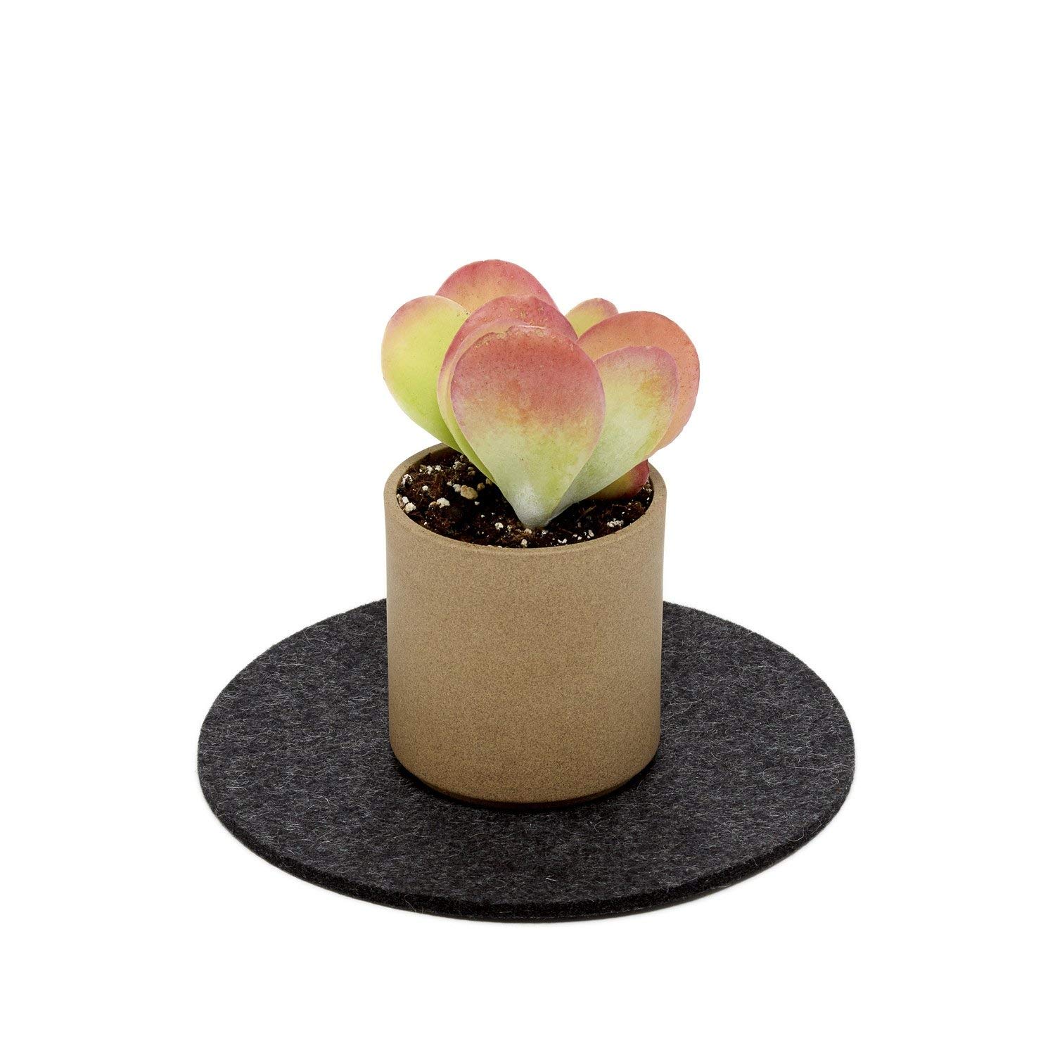 Graf Lantz - Trivets for Hot Dishes - Heat Resistant 100% Merino Wool - Hot Pads for Kitchen, Countertops, Tables, Sizzling Dishes, Pots & Pans - Home Decor, Kitchen Accessories - 8", Charcoal