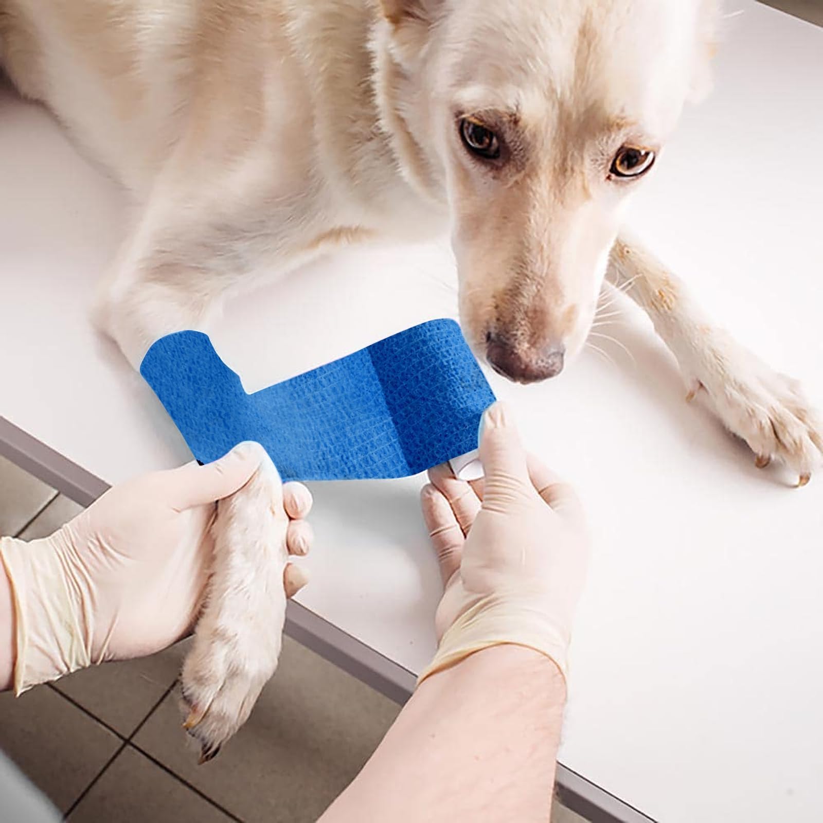 12 Rotoli di Bendaggio Autoadesivo, 10cm x 4,5m Bendaggio Coesivo Bendaggio Elastico Animale Medico Primo Soccorso Dita Caviglia Mani Piedi