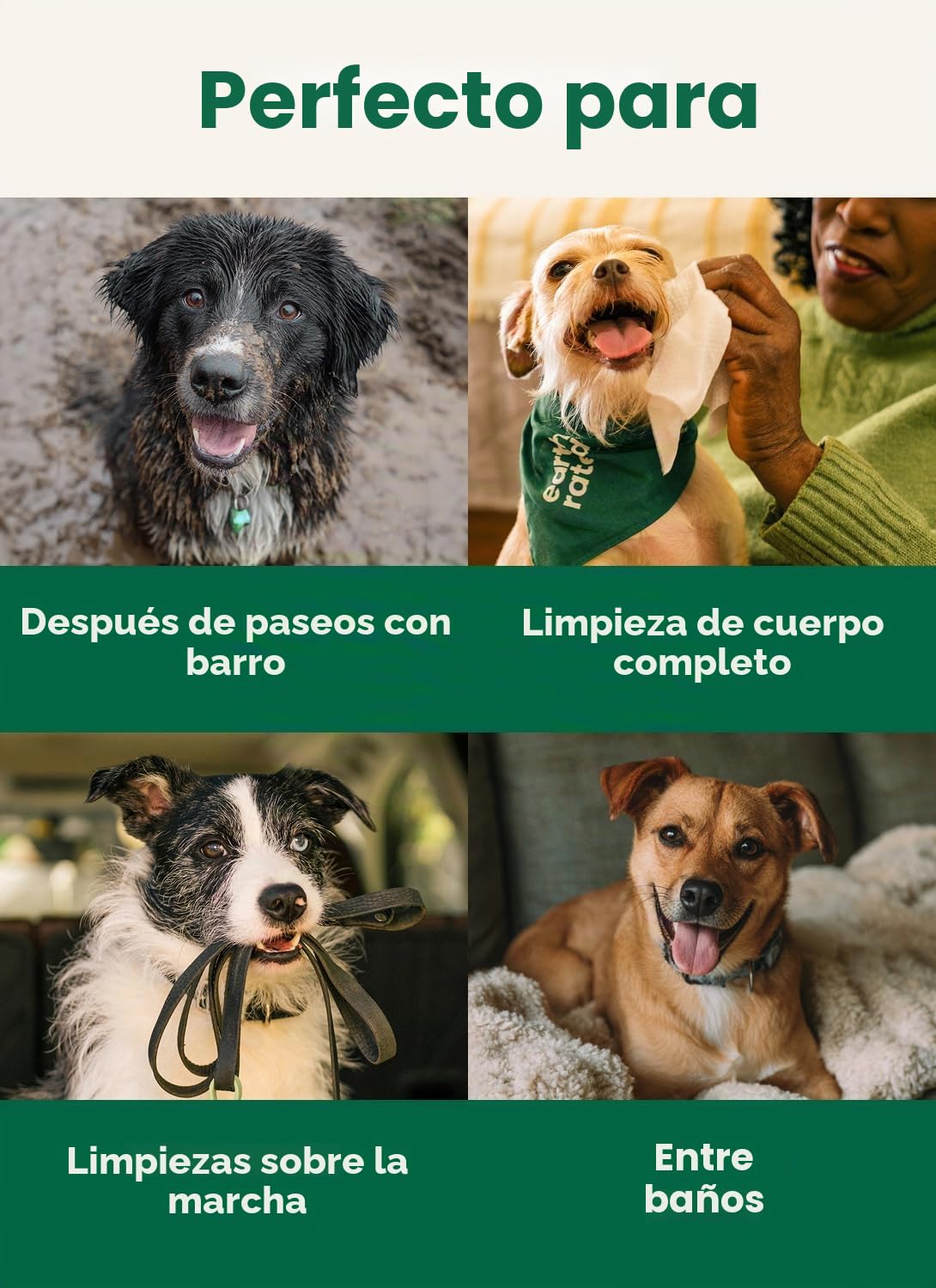 Earth Rated Toallitas hipoalergénicas para Perros, para Limpiar y Eliminar olores de Patas, Cuerpo y Trasero, Cachorros y Perros Adultos, Aroma a Lavanda, 100 Unidades