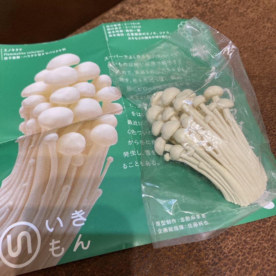 Amazon.co.jp: キノコ マグネット ガチャ えのき エノキ : ホーム
