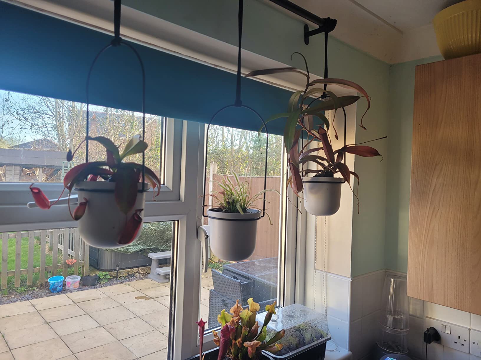 Customer photo