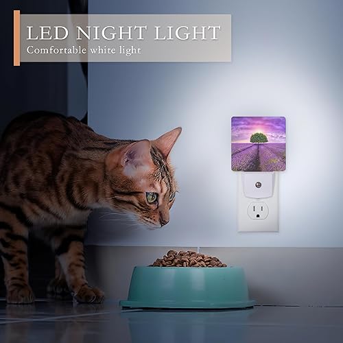 Miniatura 4 de AOWULA Luz nocturna, hermoso árbol de lavanda enchufable de pared, luces nocturnas LED para habitación de niños y niñas, lámpara de pared con sensor