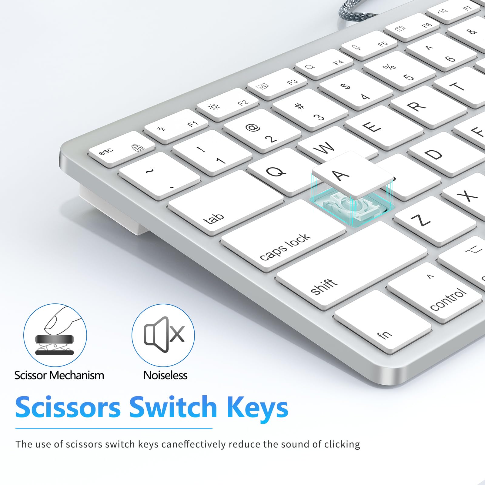 Amazon.com: Ultra-Slim Wired Keyboard for Apple, USB & Type-C