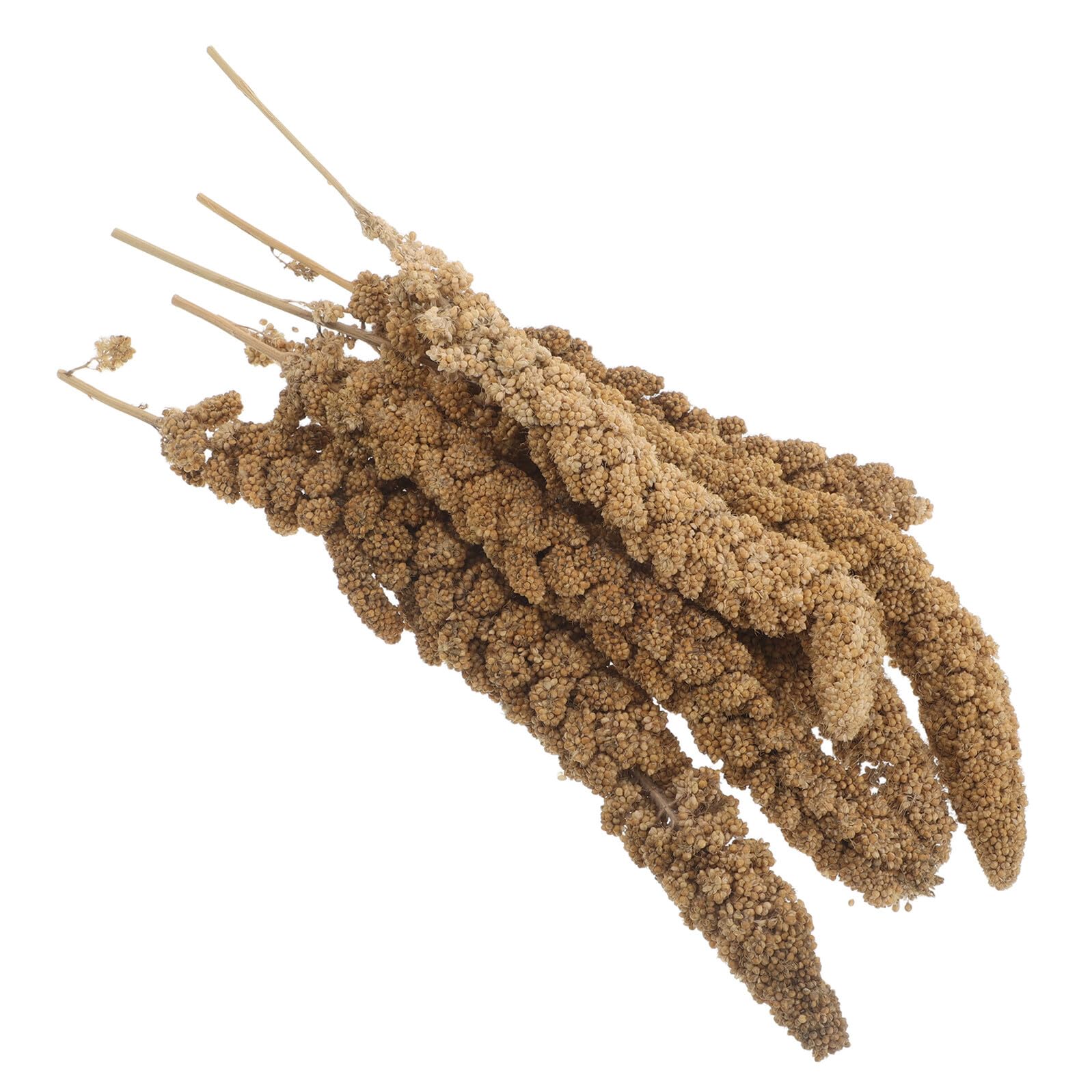 Golosinas para Cacatúas y Pinzones Mijo Natural 500g para Jaula Fácil de Montar y Experiencia de Forrajeo Silvestre