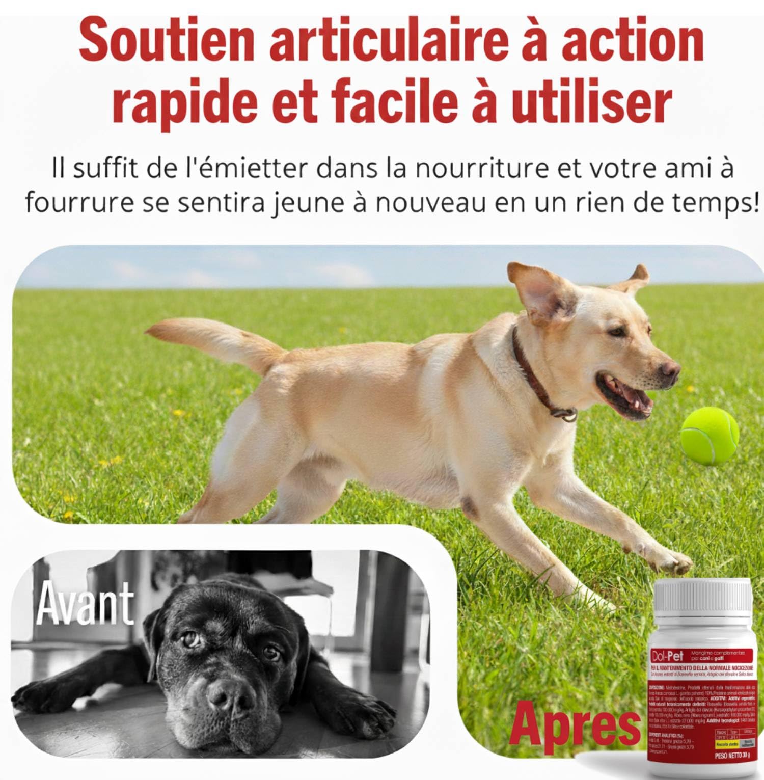 Dol-Pet Complément Articulaire Naturel pour Chien – Curcuma, Boswellia, Griffe du Diable – 30 Comprimés à Mâcher – Soulagement Arthrose et Douleurs