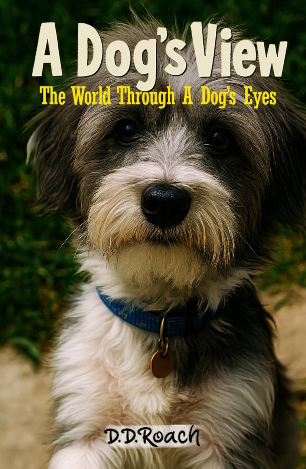 A Dog's View: The World Through A Dog's Eyes