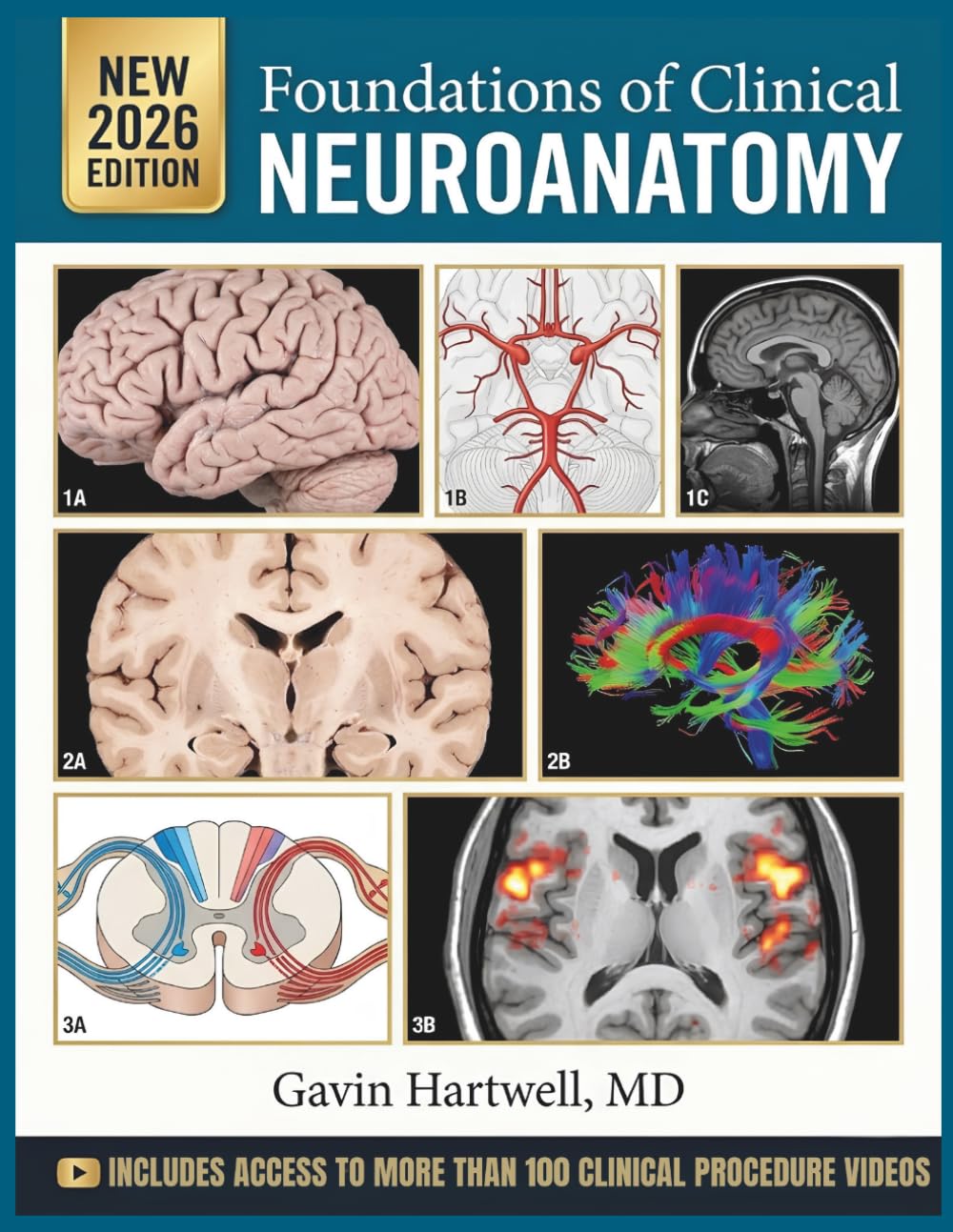 FOUNDATIONS OF CLINICAL NEUROANATOMY: A Comprehensive, Case-Integrated Visual Textbook of Structure, Pathways, Lesion Localization, and Diagnostic Reasoning for Medical and Health Sciences