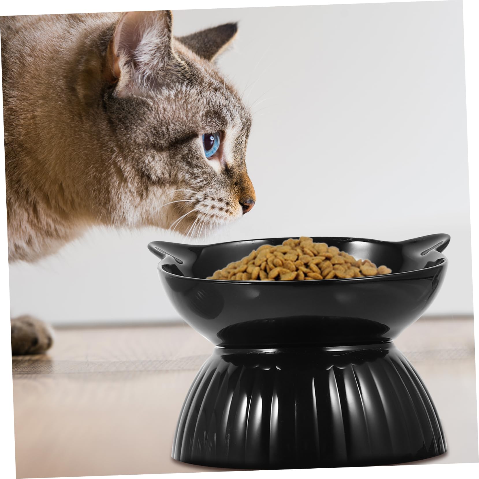 2sets Ciotole Rialzate Ceramica Per Gatti Base Antiscivolo Design Ergonomico Per Cibo e Facile Da Pulire e Resistente Al Ribaltamento Per Gatti e Piccoli Cani