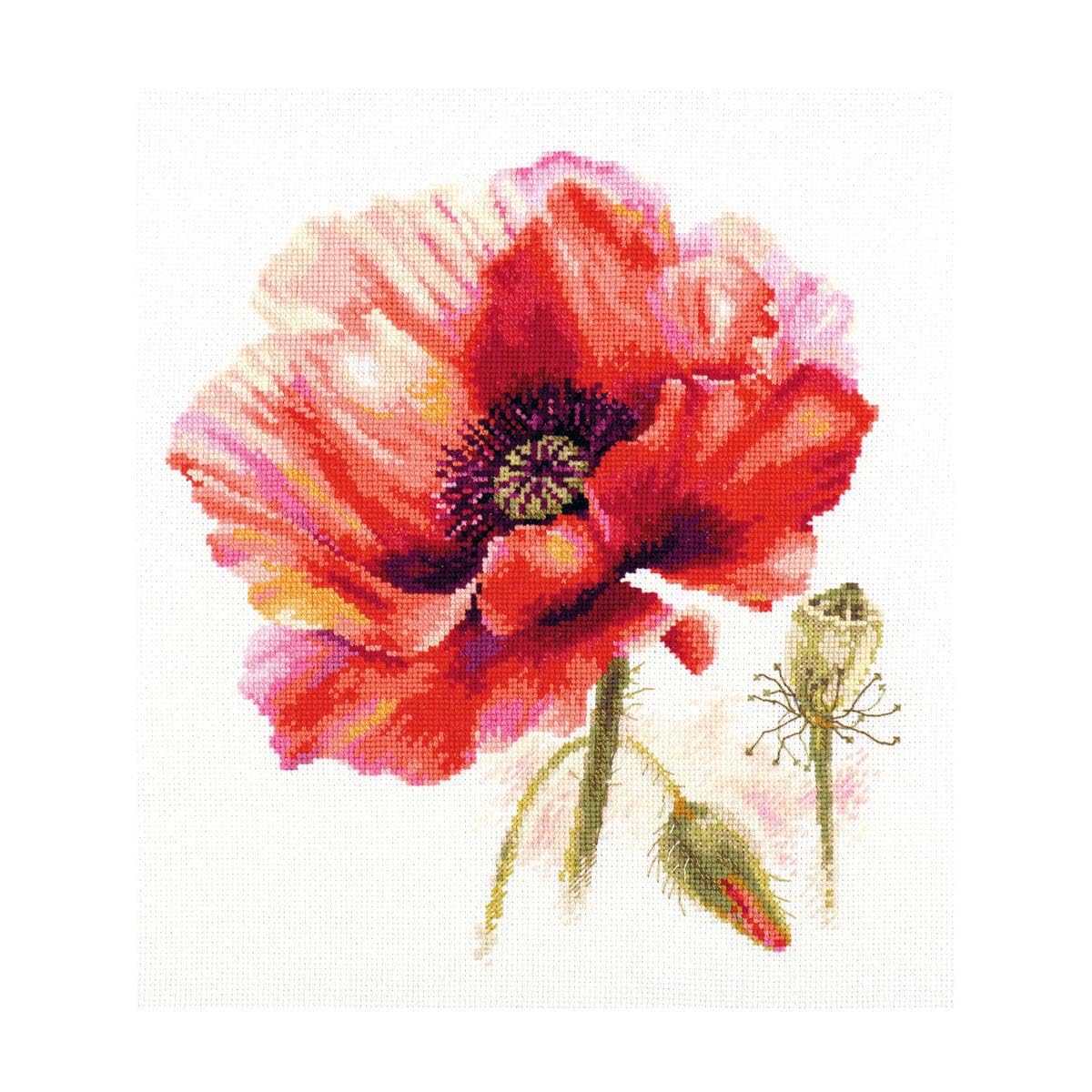 Amazon.com: Bright Poppy Cross-Stitch kit on Aida 16 Count
